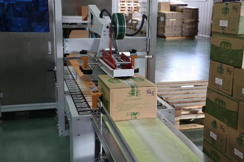 單品年售10億粒 南酸棗糕的“硬核”工廠與跨界紡織銷售之謎